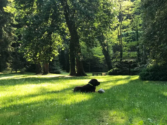 LocationRobot - Film Location Haus LR2390 (photo 38)