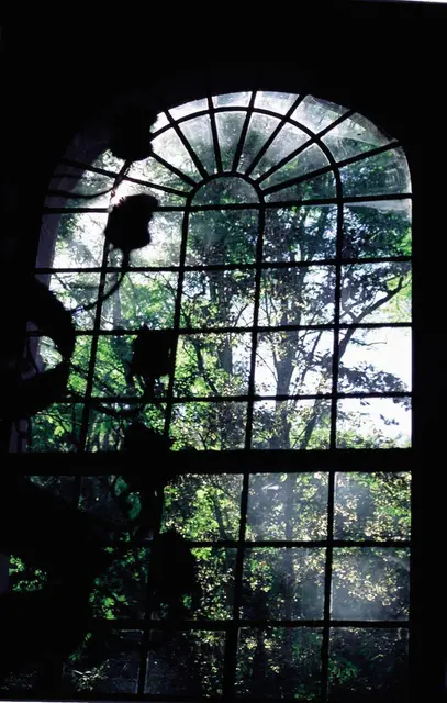 LocationRobot - Film Location Haus LR2390 (photo 26)