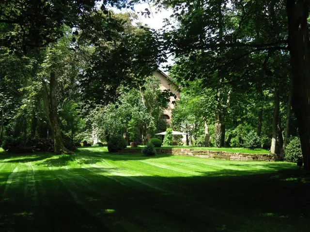 LocationRobot - Film Location Haus LR2390 (photo 32)