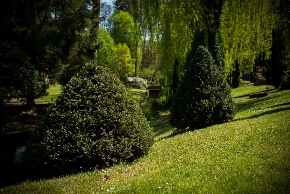 LocationRobot - Film Location Haus LR2390 (photo 42)