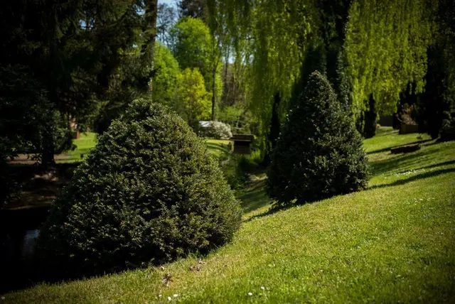 LocationRobot - Film Location Haus LR2390 (photo 42)