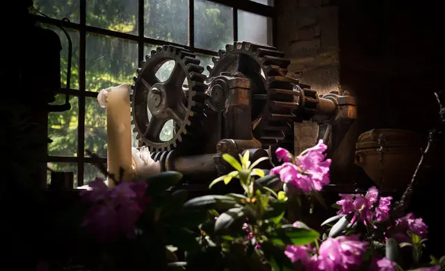 LocationRobot - Film Location Haus LR2390 (photo 19)