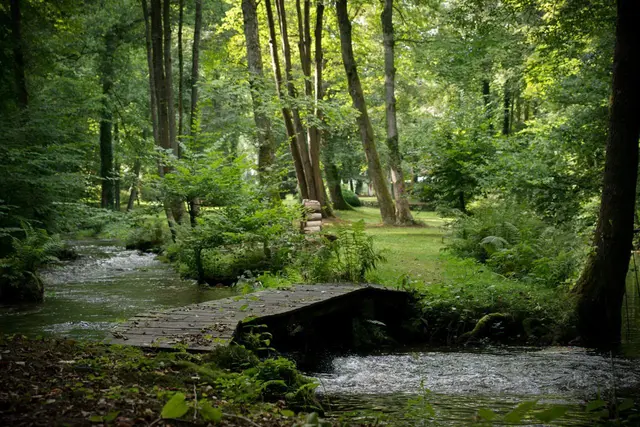 LocationRobot - Film Location Haus LR2390 (photo 40)