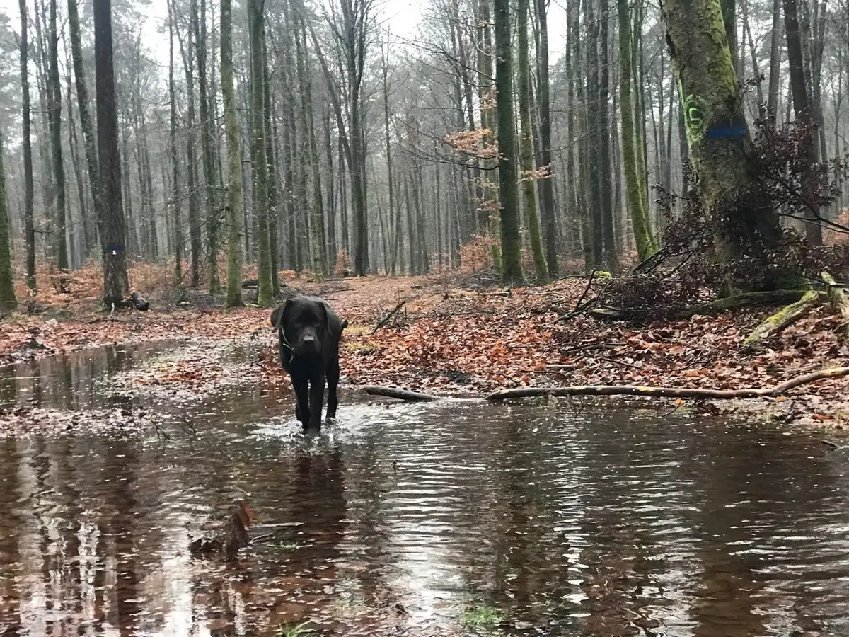 LocationRobot - Film Location Haus LR2390 (photo 45)