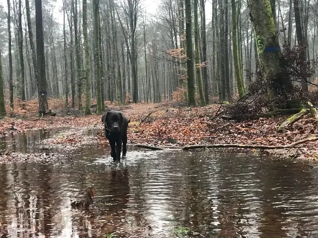 LocationRobot - Film Location Haus LR2390 (photo 45)