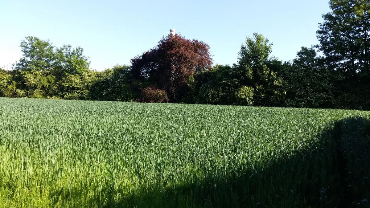 LocationRobot - Film Location Villa LR2413 (photo 51)