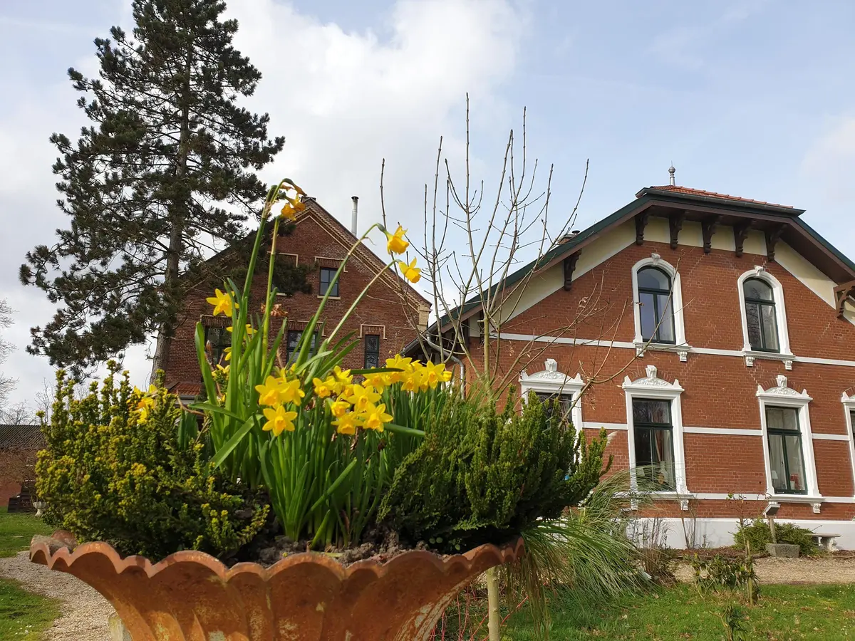 LocationRobot - Film Location Gutshaus LR2449 (photo 3)