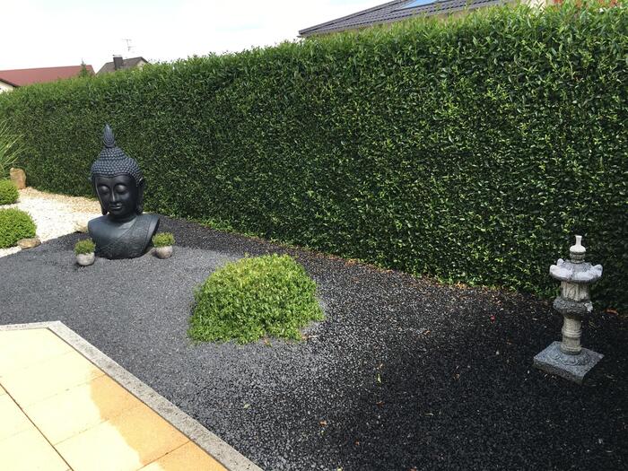 LocationRobot - Film Location Einfamilienhaus LR2576 (photo 4)