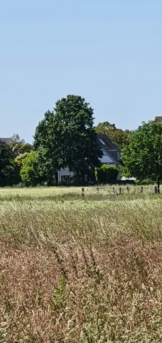 LocationRobot - Film Location Einfamilienhaus LR2682 (photo 35)