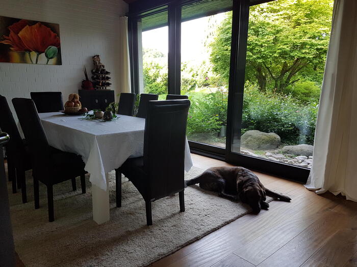 LocationRobot - Film Location Haus LR2727 (photo 7)