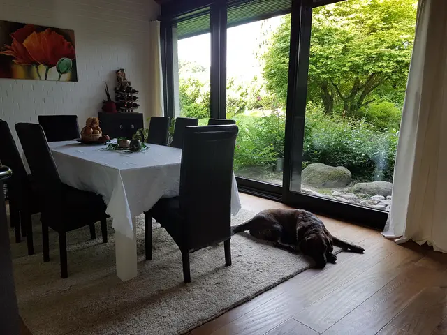 LocationRobot - Film Location Haus LR2727 (photo 7)