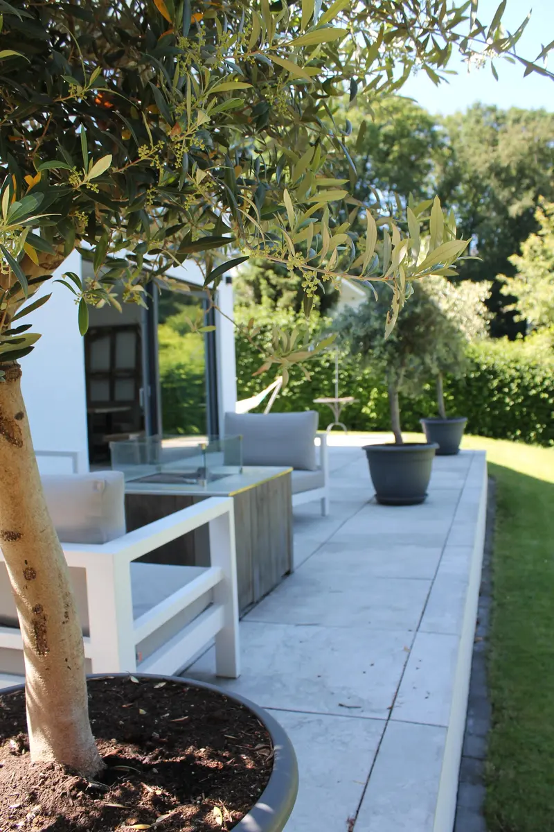 LocationRobot - Film Location Villa LR2729 (photo 73)