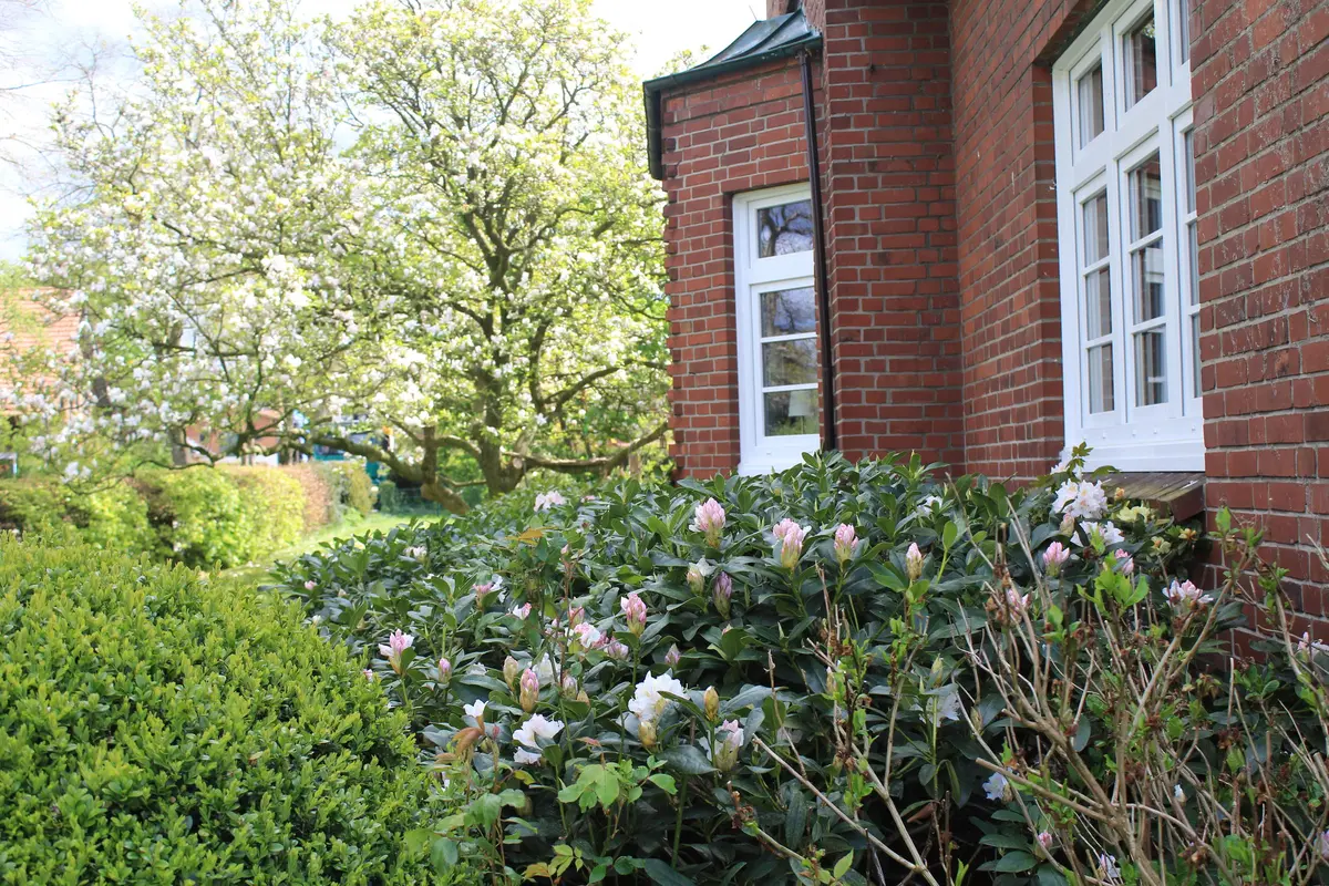 LocationRobot - Film Location Landhaus LR2732 (photo 37)