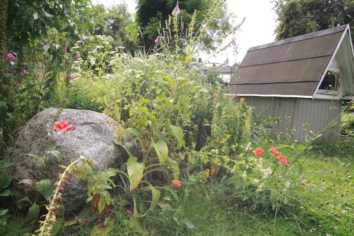 LocationRobot - Film Location Landhaus LR2732 (photo 46)