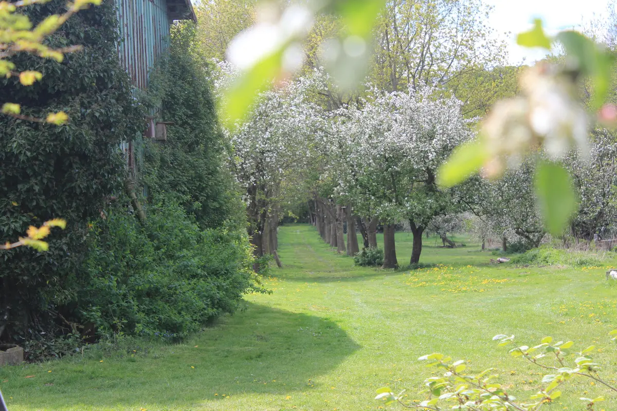 LocationRobot - Film Location Landhaus LR2732 (photo 78)