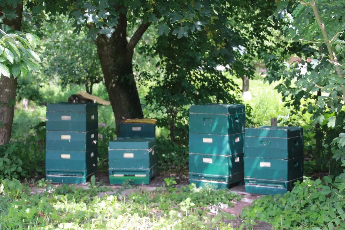 LocationRobot - Film Location Landhaus LR2732 (photo 59)