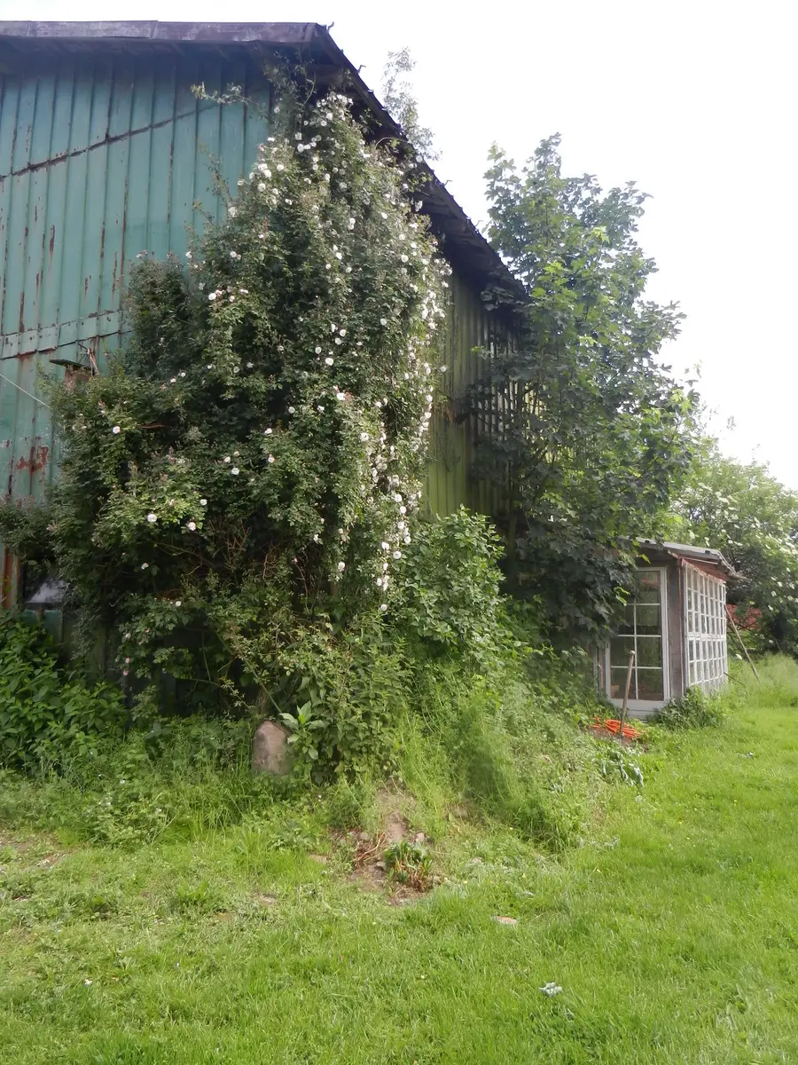 LocationRobot - Film Location Landhaus LR2732 (photo 53)