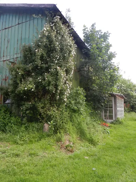 LocationRobot - Film Location Landhaus LR2732 (photo 53)