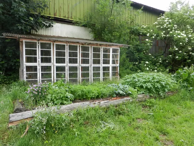 LocationRobot - Film Location Landhaus LR2732 (photo 50)