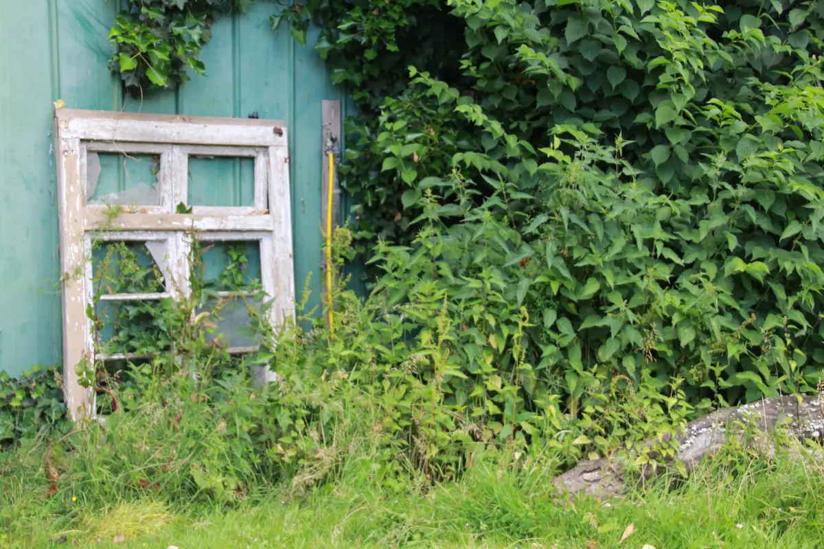 LocationRobot - Film Location Landhaus LR2732 (photo 58)