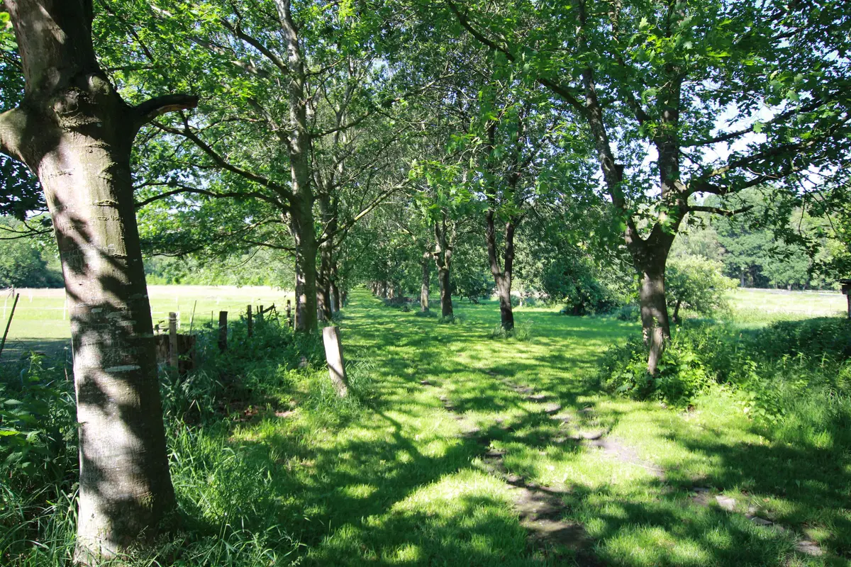 LocationRobot - Film Location Landhaus LR2732 (photo 67)