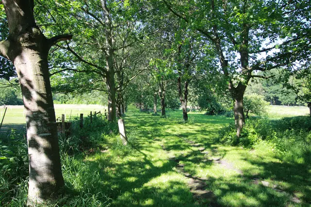 LocationRobot - Film Location Landhaus LR2732 (photo 67)