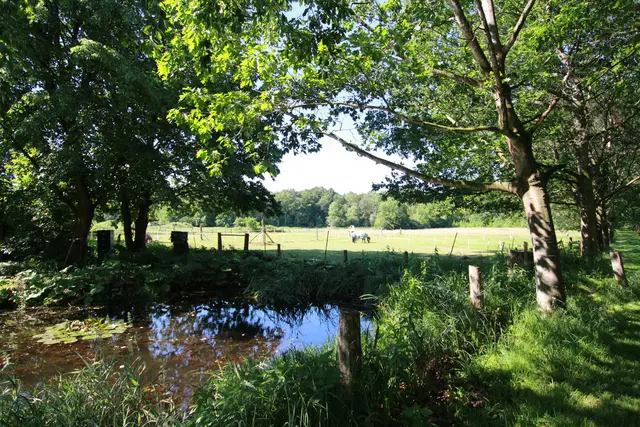 LocationRobot - Film Location Landhaus LR2732 (photo 60)