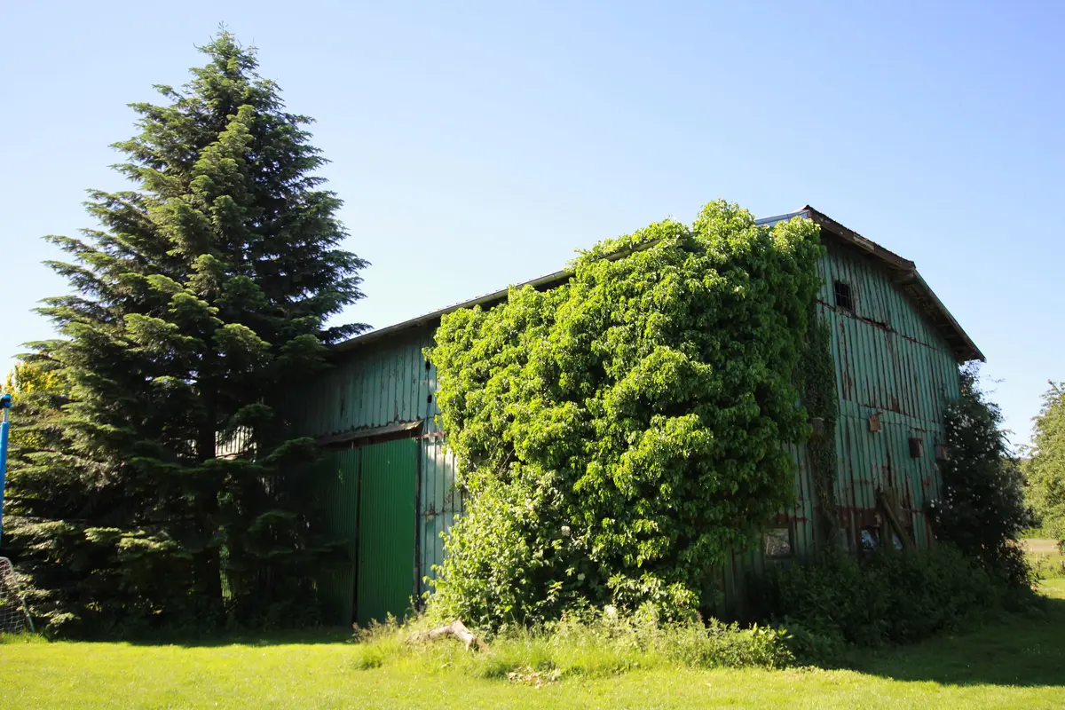 LocationRobot - Film Location Landhaus LR2732 (photo 49)