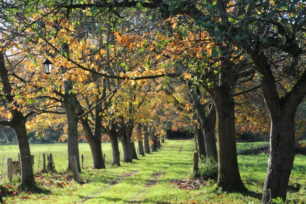 LocationRobot - Film Location Landhaus LR2732 (photo 68)