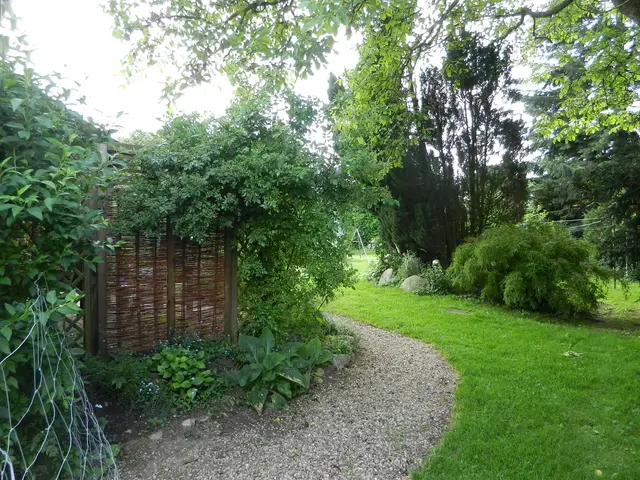 LocationRobot - Film Location Landhaus LR2732 (photo 44)