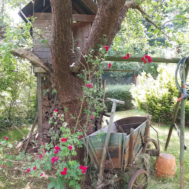 LocationRobot - Film Location Haus LR2737 (photo 20)