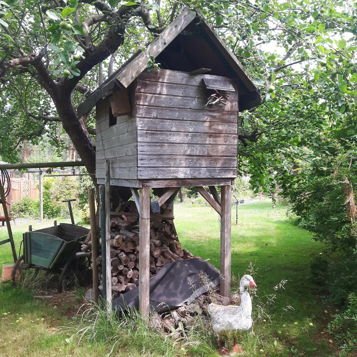 LocationRobot - Film Location Haus LR2737 (photo 19)