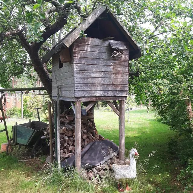 LocationRobot - Film Location Haus LR2737 (photo 19)