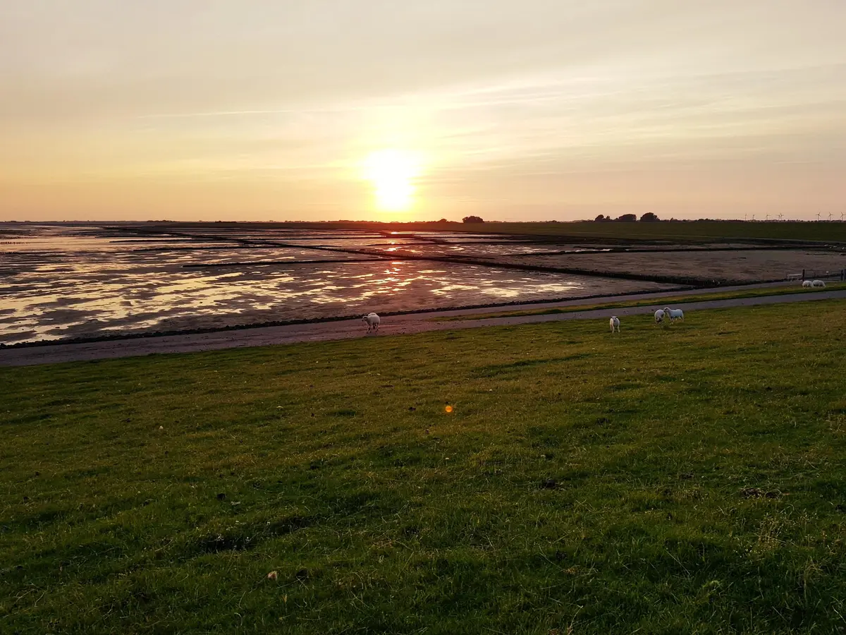 LocationRobot - Film Location Einfamilienhaus LR2750 (photo 33)