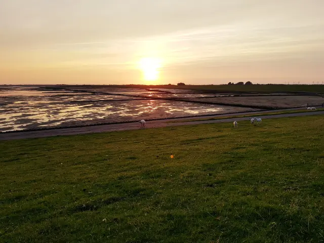 LocationRobot - Film Location Einfamilienhaus LR2750 (photo 33)