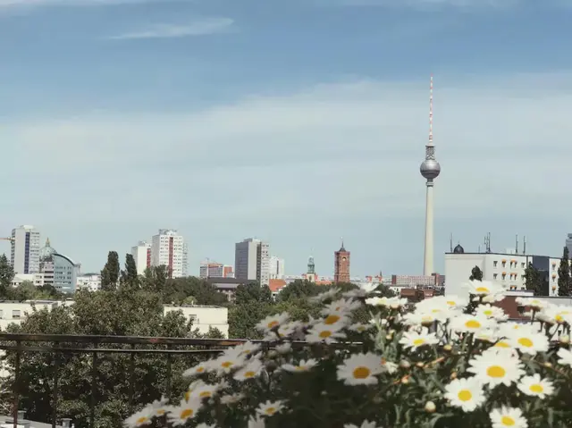 LocationRobot - Film Location Loft LR2752 (photo 34)