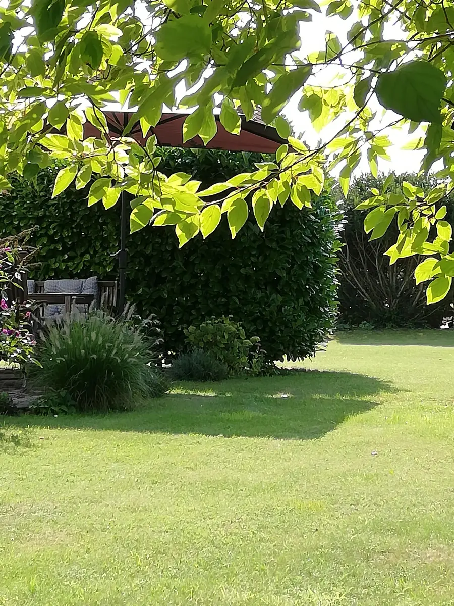 LocationRobot - Film Location Einfamilienhaus LR2806 (photo 27)