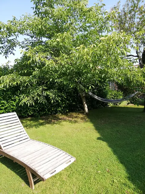 LocationRobot - Film Location Einfamilienhaus LR2806 (photo 26)