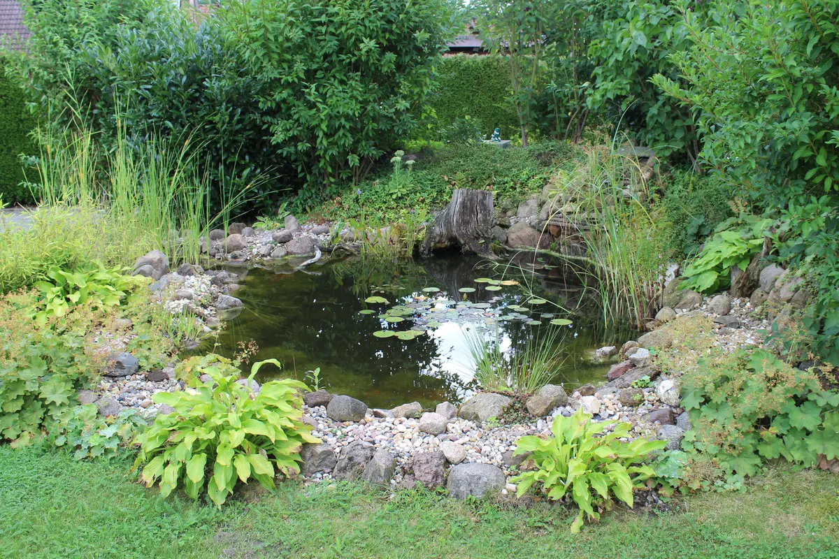 LocationRobot - Film Location Einfamilienhaus LR2806 (photo 8)