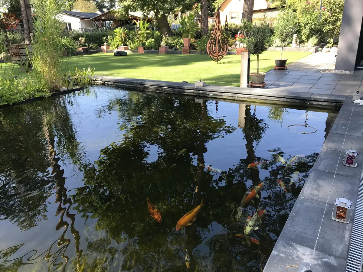 LocationRobot - Film Location Villa LR2838 (photo 8)