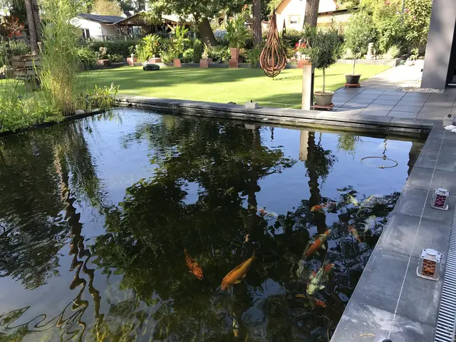 LocationRobot - Film Location Villa LR2838 (photo 8)