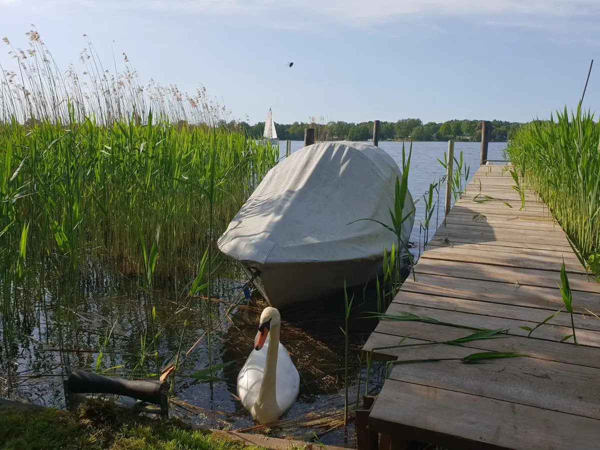 LocationRobot - Film Location Villa LR2838 (photo 44)