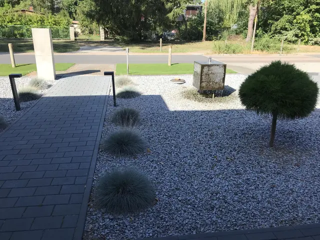 LocationRobot - Film Location Villa LR2838 (photo 3)