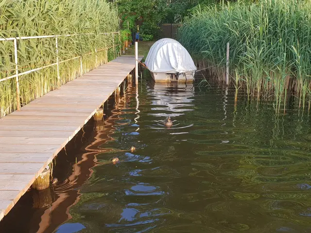 LocationRobot - Film Location Villa LR2838 (photo 45)