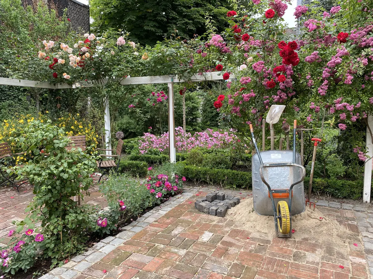 LocationRobot - Film Location Wohnung LR2843 (photo 26)