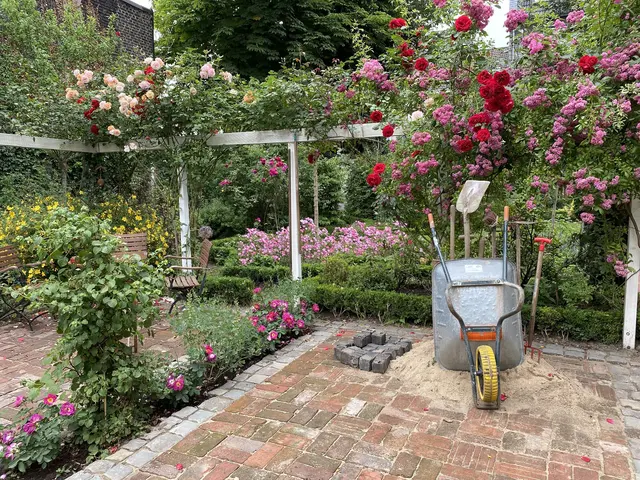 LocationRobot - Film Location Wohnung LR2843 (photo 26)