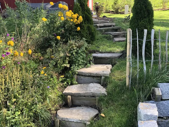 LocationRobot - Film Location Landhaus LR2906 (photo 38)