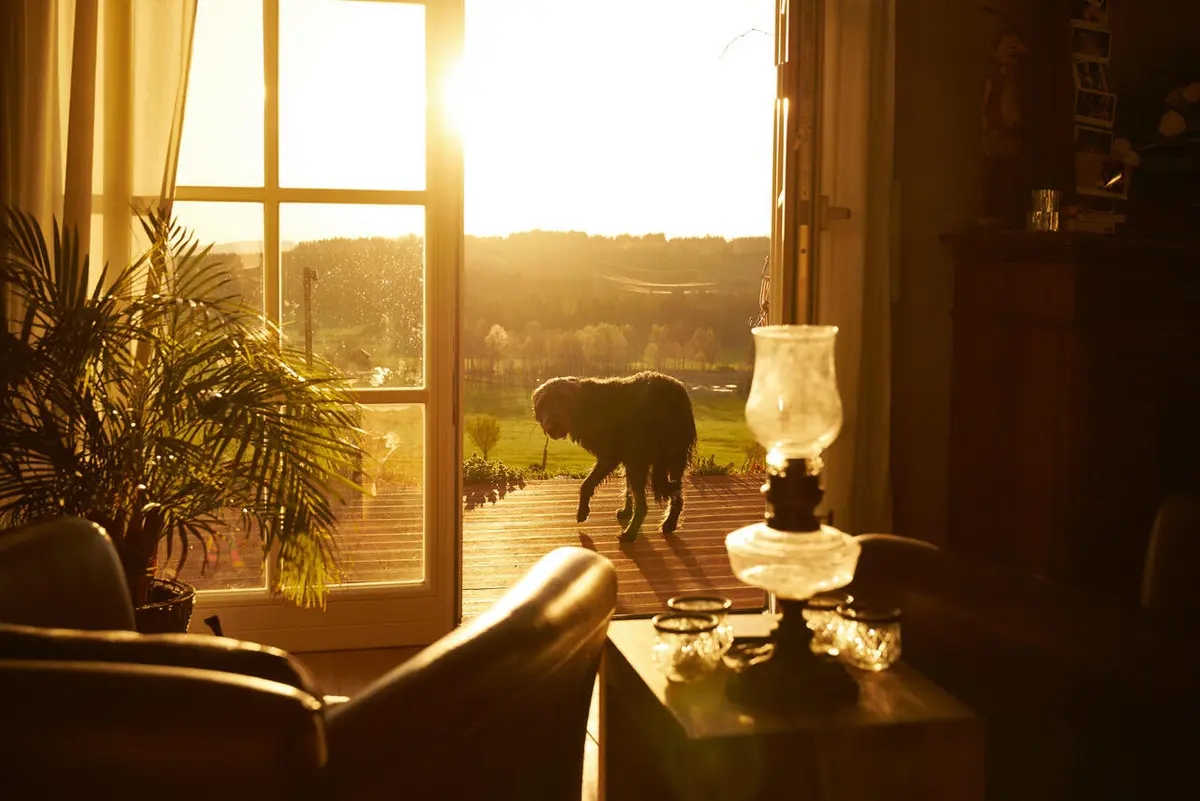 LocationRobot - Film Location Landhaus LR2906 (photo 48)