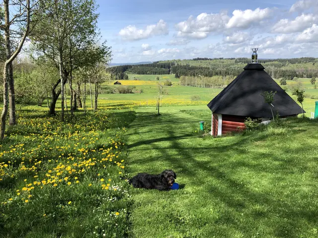 LocationRobot - Film Location Landhaus LR2906 (photo 37)