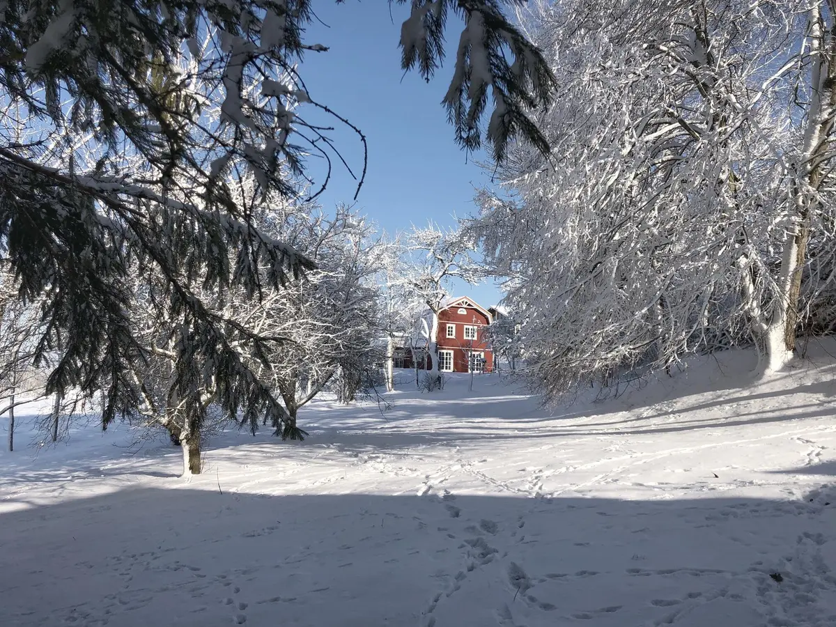 LocationRobot - Film Location Landhaus LR2906 (photo 66)